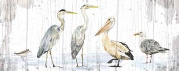 Birds of the Coast Rustic Panel | Obraz na stenu