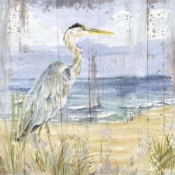 Birds of the Coast Rustic I | Obraz na stenu