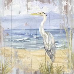 Birds of the Coast Rustic II | Obraz na stenu