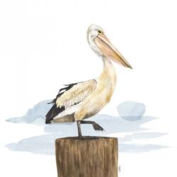 Birds of the Coast on White III | Obraz na stenu