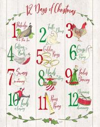 12 Days of Christmas sign | Obraz na stenu