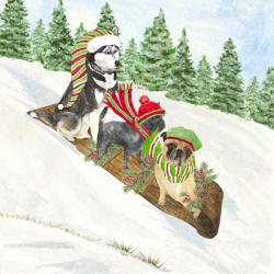 Dog Days of Christmas III Sledding | Obraz na stenu