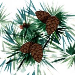Christmas Hinterland II-Pine Cones | Obraz na stenu