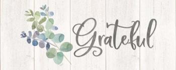 Natural Inspiration Blue Grateful sign | Obraz na stenu