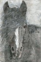 Horse in the Wind | Obraz na stenu