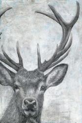 Portrait of a Deer | Obraz na stenu