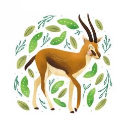 Safari Cuties Gazelle | Obraz na stenu