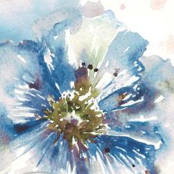 Blue Watercolor Poppy Close Up I | Obraz na stenu