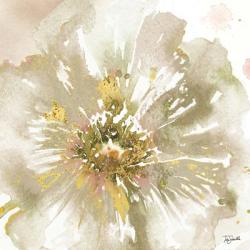 Neutral Watercolor Poppy Close Up I | Obraz na stenu