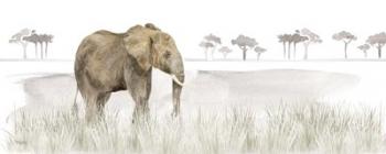 Serengeti Elephant horizontal panel | Obraz na stenu