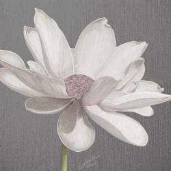 Vintage Lotus on Grey I | Obraz na stenu