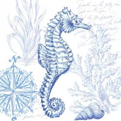 Coastal Sketchbook Sea Horse | Obraz na stenu