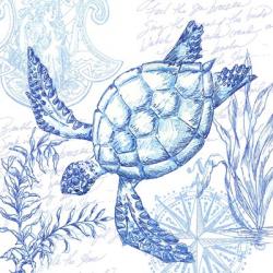 Coastal Sketchbook Turtle | Obraz na stenu