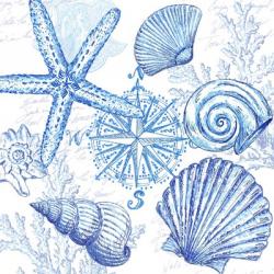 Coastal Sketchbook Shell Toss | Obraz na stenu
