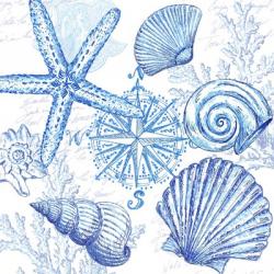 Coastal Sketchbook Shell Toss | Obraz na stenu