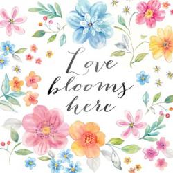 Whimsical Blooms Sentiment I | Obraz na stenu
