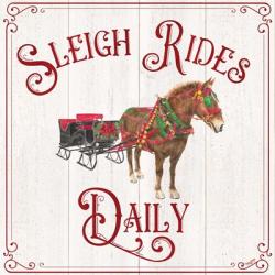 Vintage Christmas Signs V-Sleigh Rides | Obraz na stenu