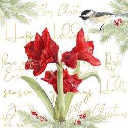 Merry Amaryllis I | Obraz na stenu