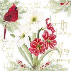 Merry Amaryllis II | Obraz na stenu
