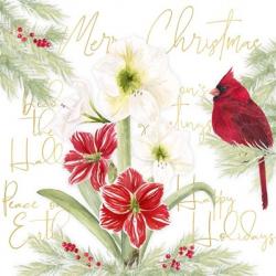 Merry Amaryllis III | Obraz na stenu