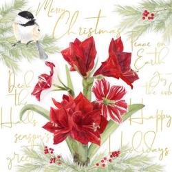 Merry Amaryllis IV | Obraz na stenu