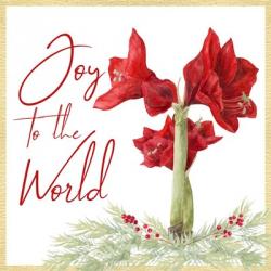 Merry Amaryllis V | Obraz na stenu