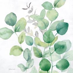 Eucalyptus Leaves I | Obraz na stenu