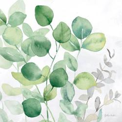 Eucalyptus Leaves II | Obraz na stenu