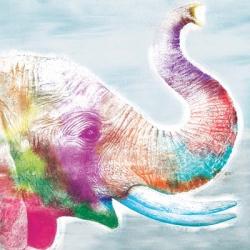 Colorful Elephant | Obraz na stenu