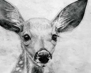 Portrait of a Fawn | Obraz na stenu