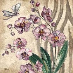 Boho Orchid & Dragonfly II | Obraz na stenu