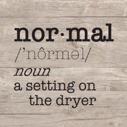 Laundry Room Humor II-Normal | Obraz na stenu