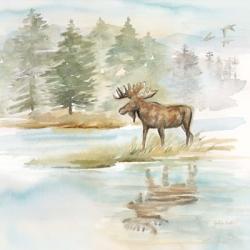 Woodland Reflections II-Moose | Obraz na stenu