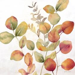 Eucalyptus Leaves Spice I | Obraz na stenu