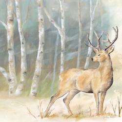 Woodland Reflections III-Deer | Obraz na stenu