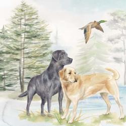 Woodland Dogs I | Obraz na stenu