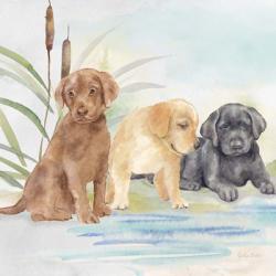 Woodland Dogs III | Obraz na stenu