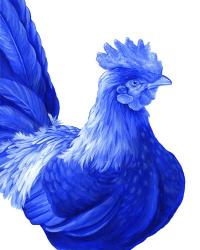 Blue Rooster I | Obraz na stenu