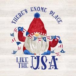 Patriotic Gnomes III-USA | Obraz na stenu