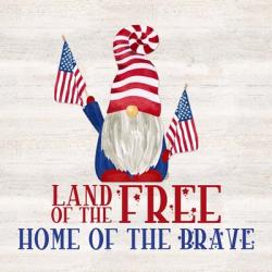 Patriotic Gnomes IV-Land of the Free | Obraz na stenu
