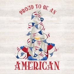Patriotic Gnomes VI-American | Obraz na stenu