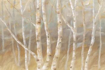 Autumn Birch landscape | Obraz na stenu