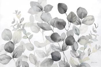 Eucalyptus Leaves landscape neutral | Obraz na stenu