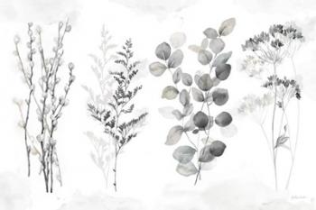 Indigo Botanicals landscape neutral | Obraz na stenu