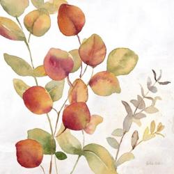 Eucalyptus Leaves Spice II | Obraz na stenu