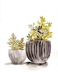 Gray Potted Plants | Obraz na stenu