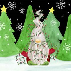 Gnome for Christmas III-Gnome Lights | Obraz na stenu