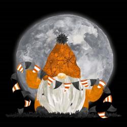 Gnomes of Halloween I-Banners | Obraz na stenu
