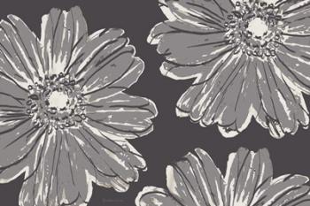 Flower Pop Sketch V-Shades of Grey | Obraz na stenu