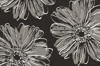 Flower Pop Sketch VII-Black BG | Obraz na stenu